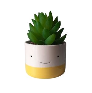 ✅4/25$✅ Small‎ faux cactus smiley